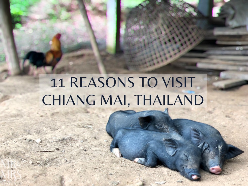 Visit Chiang Mai - Mr & Mrs Romance