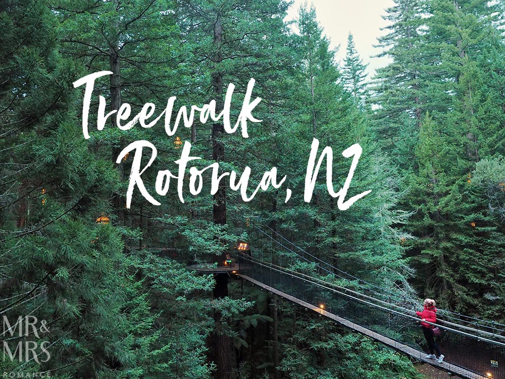 Redwoods Treewalk, Rotorua, New Zealand