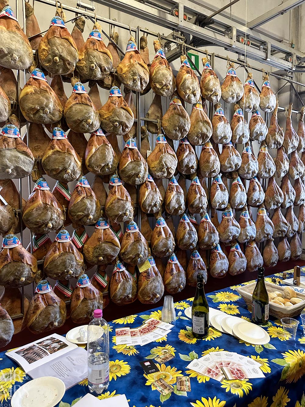 Prosciutto tasting in a ham factory. Tour of parmegiano reggiano parmesan cheese and prosciutto di Parma in Parma Italy