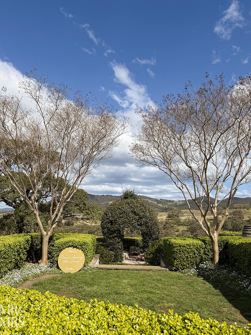 Romantic Picnic at Audrey Wilkinson in the Hunter Valley - our picnic spot on the grounds