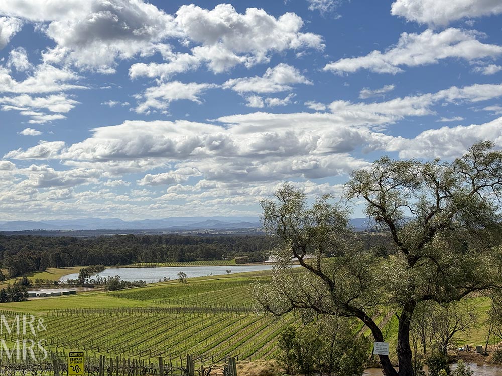 Romantic Picnic at Audrey Wilkinson in the Hunter Valley - views out over the grapevines