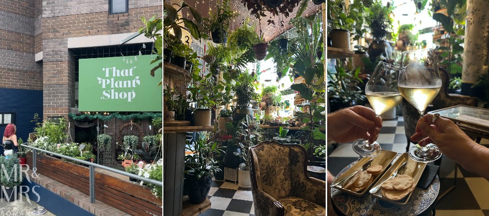 Flavour of the Month - November 2025 - That Plant Shop wine and cheese