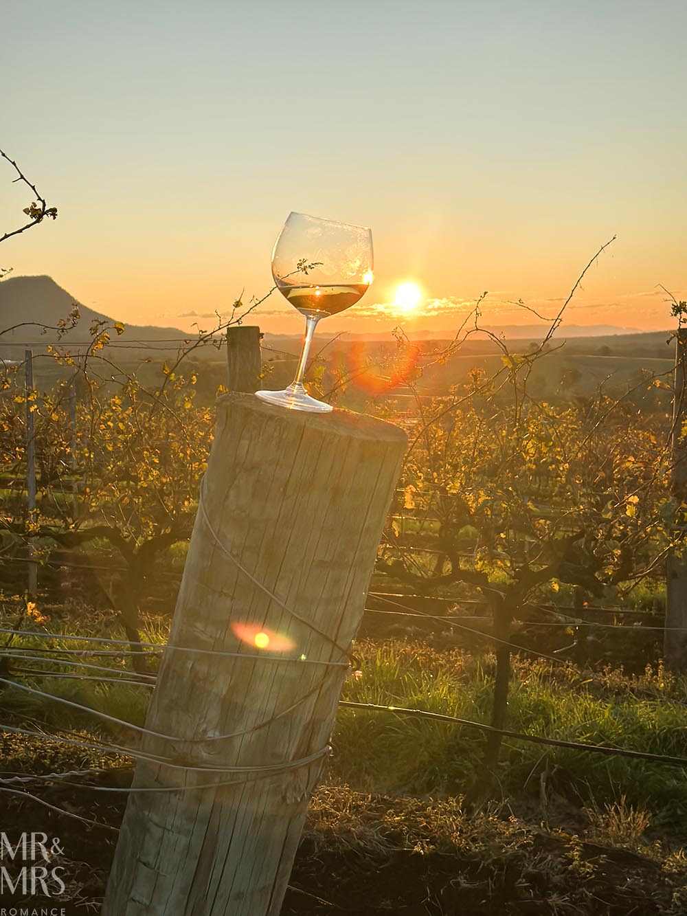Scarborough Wine and Keepers of the Flame - interview with Sally Scarborough. Wine glass on vineyard post at sunset