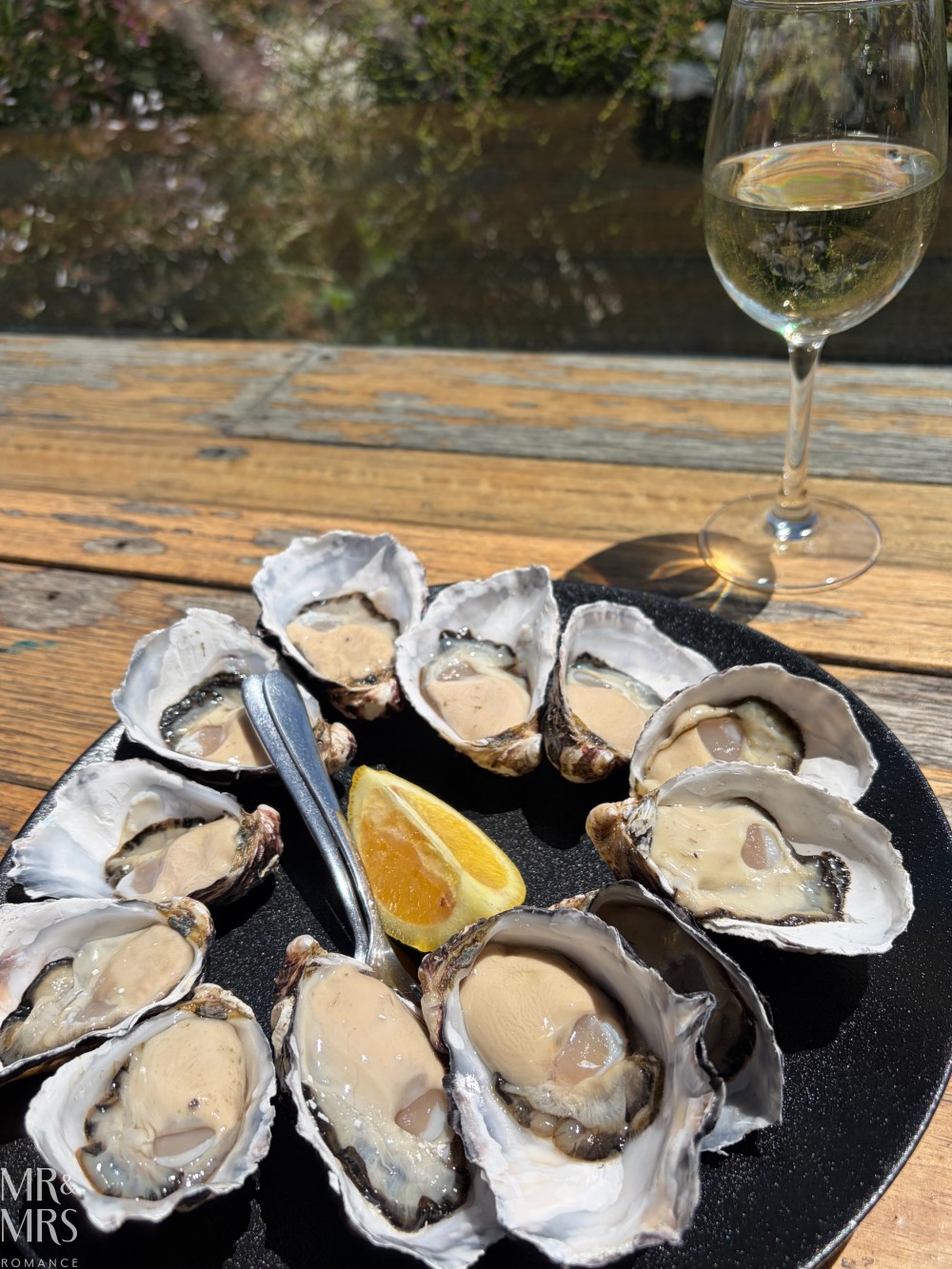 Three Capes Walk, Tasmania - contributor story by Mark Buckley - fresh oysters