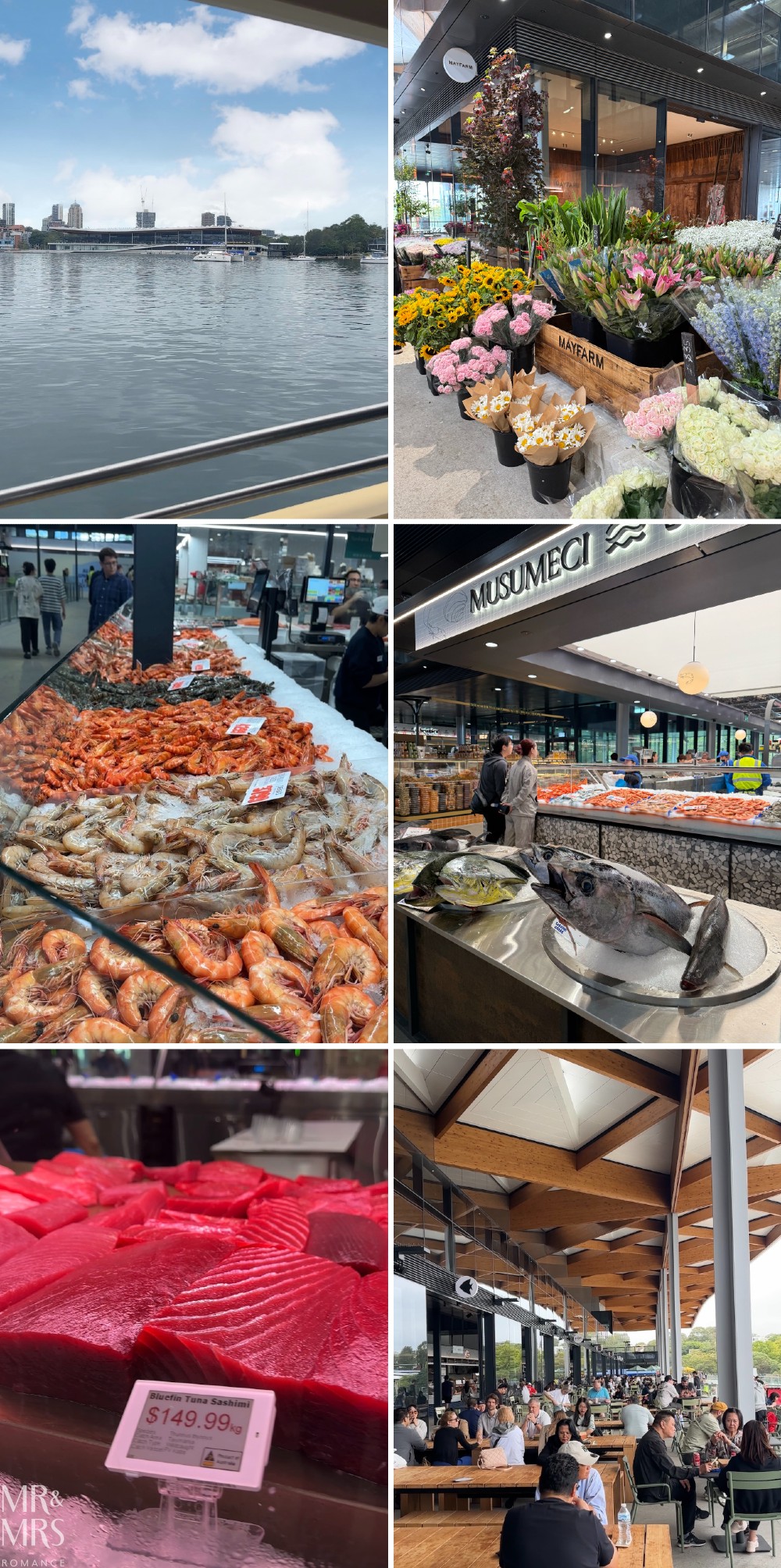 Flavour of the Month - February 2026 - how to get to the new Sydney Fish Markets by ferry