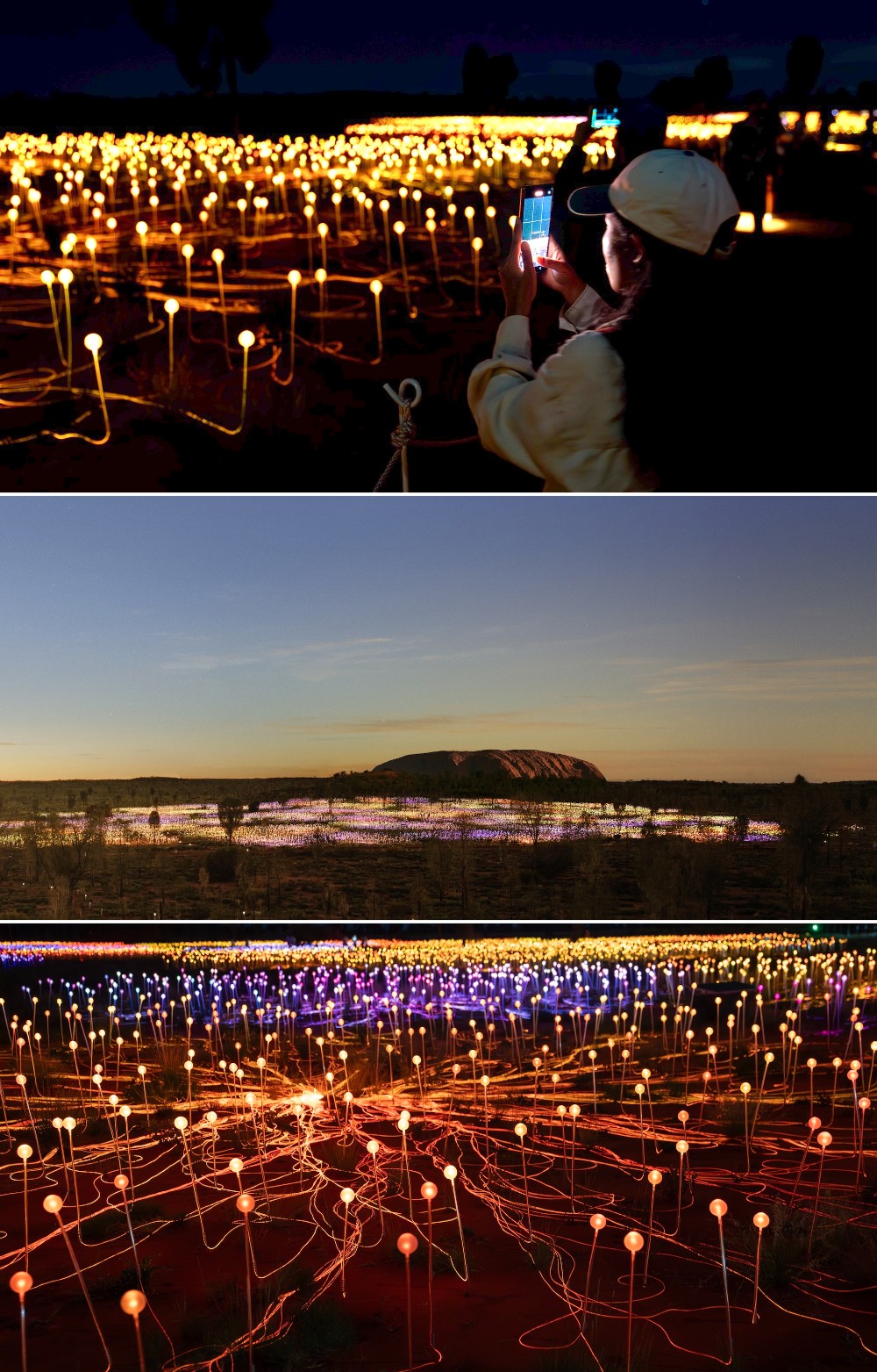 Flavour of the Month - February 2026 - Field of Light at Uluru turns 15