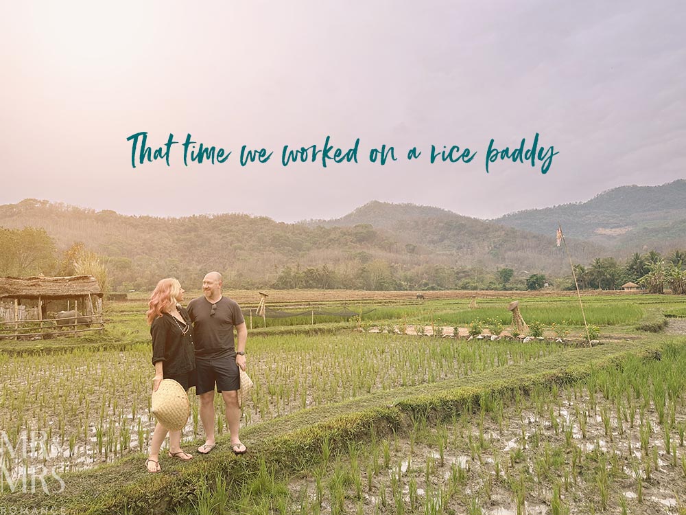 That time we were working in the rice fields, the romantic Mr. and Mrs.
