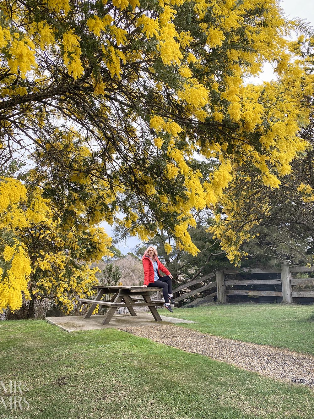 Is travel insurance worth it? Christina in a garden amongst beautiful tree yellow blossoms