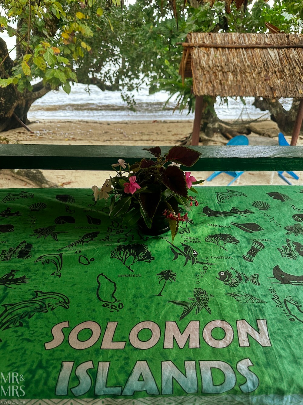 Flavour of the Month - August 2026 - Solomon Islands